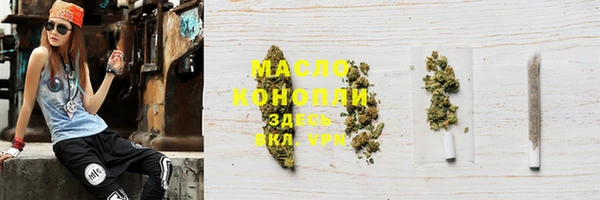гидра Новозыбков