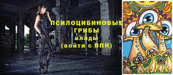 гидра Новозыбков