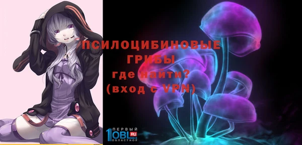 гидра Новозыбков