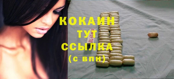 гидра Новозыбков