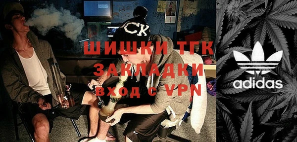 гидра Новозыбков