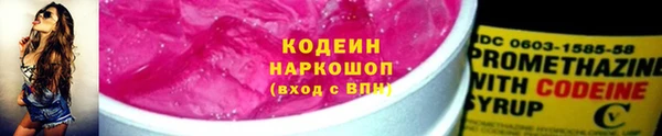 гидра Новозыбков