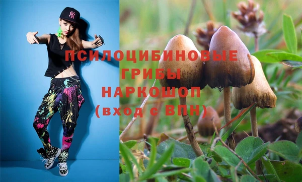 не бодяженный Новодвинск