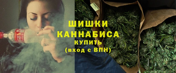 гидра Новозыбков