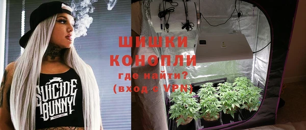 гидра Новозыбков