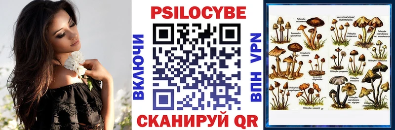 Галлюциногенные грибы мухоморы  Хилок 