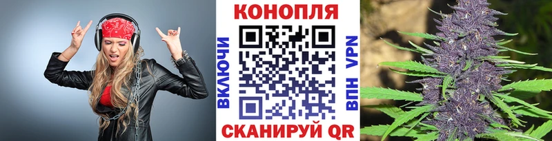 МАРИХУАНА семена  Хилок 